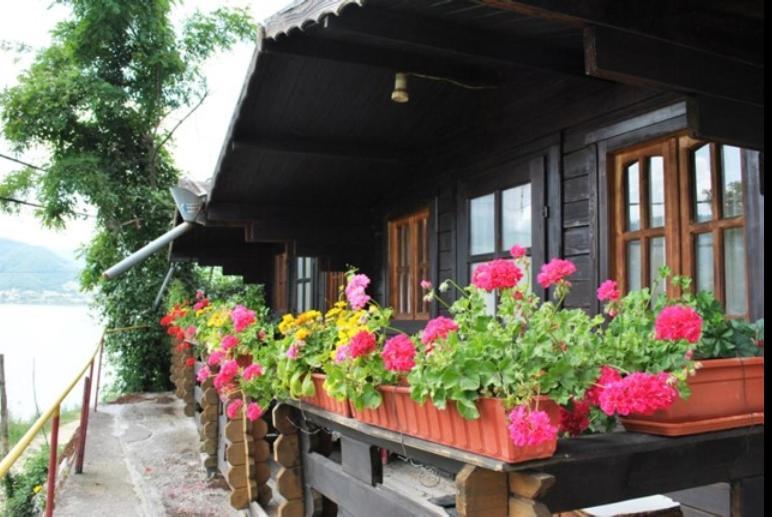 Gratca Nr 164 Orsova Villa Luaran gambar
