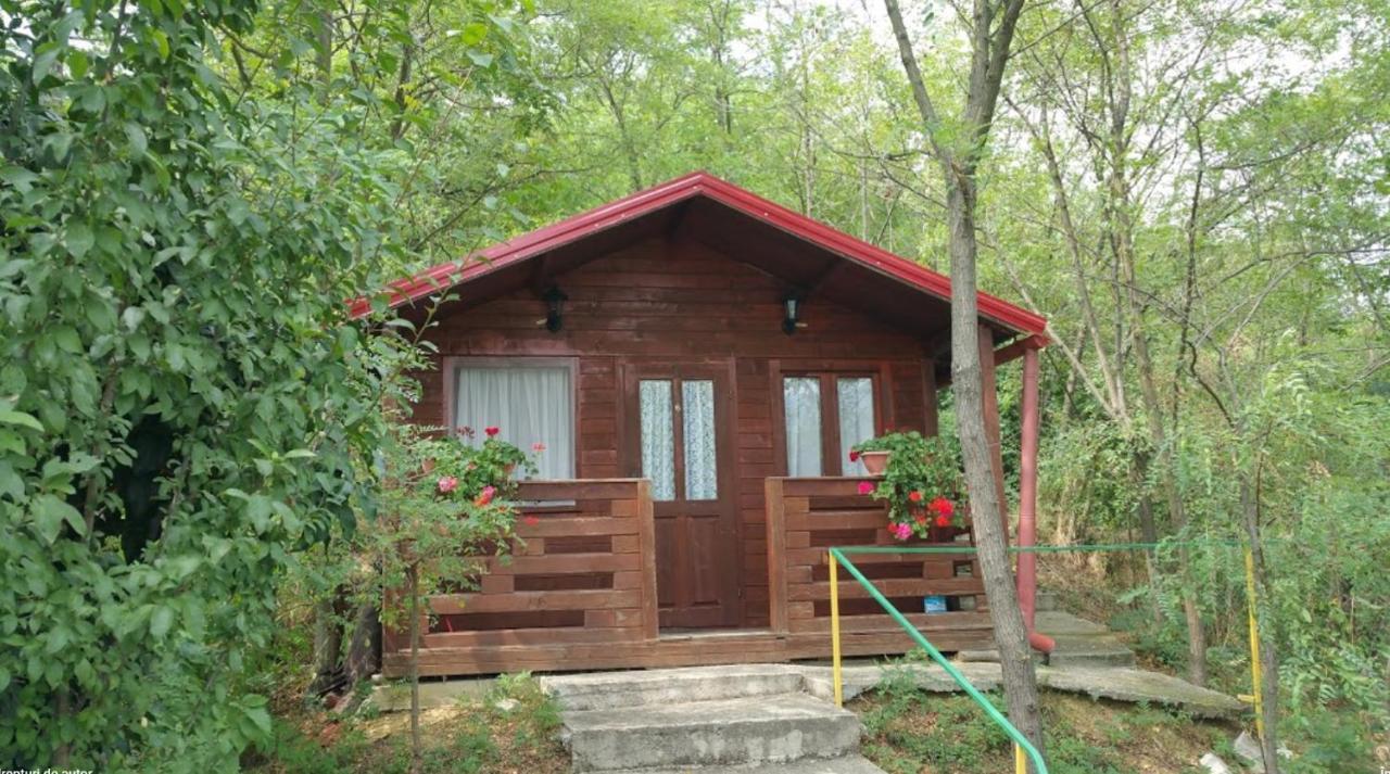 Gratca Nr 164 Orsova Villa Luaran gambar