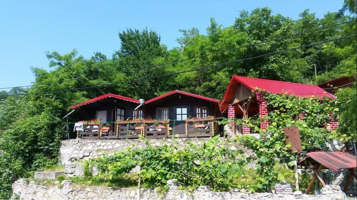 Gratca Nr 164 Orsova Villa Luaran gambar