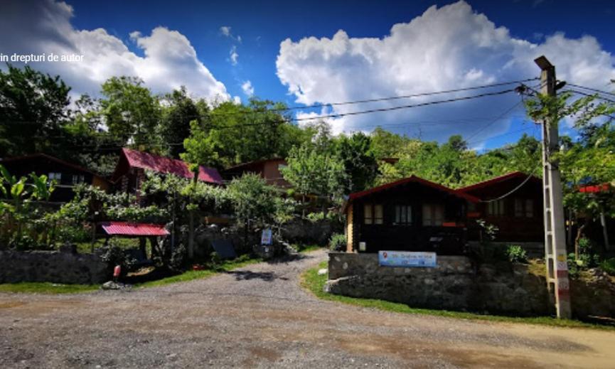 Gratca Nr 164 Orsova Villa Luaran gambar