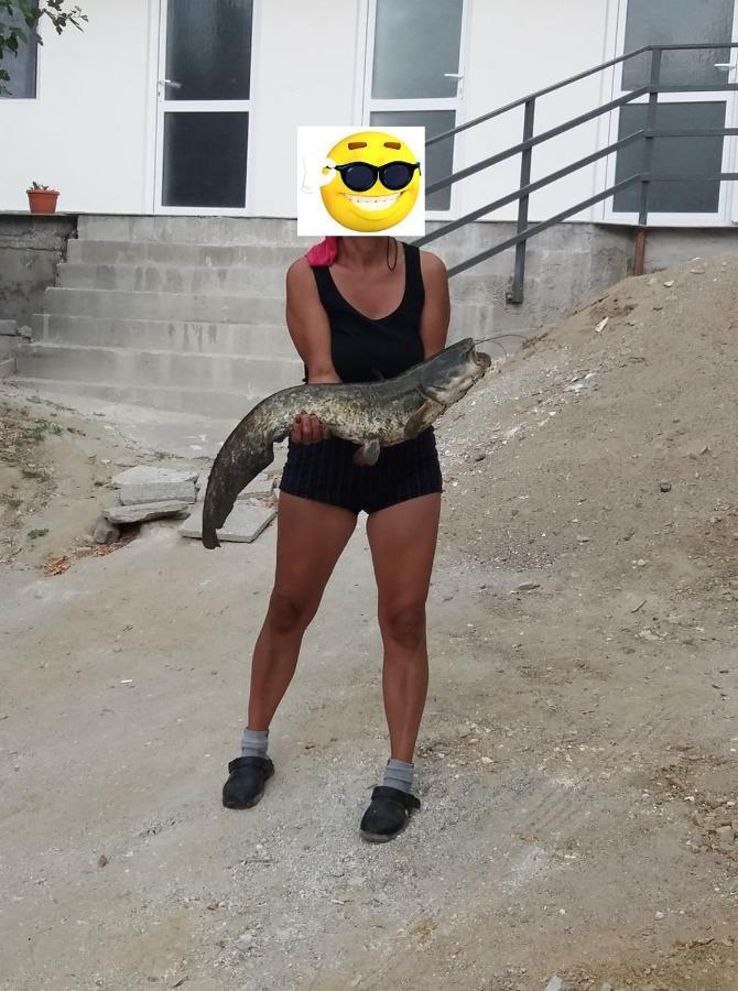 Gratca Nr 164 Orsova Villa Luaran gambar